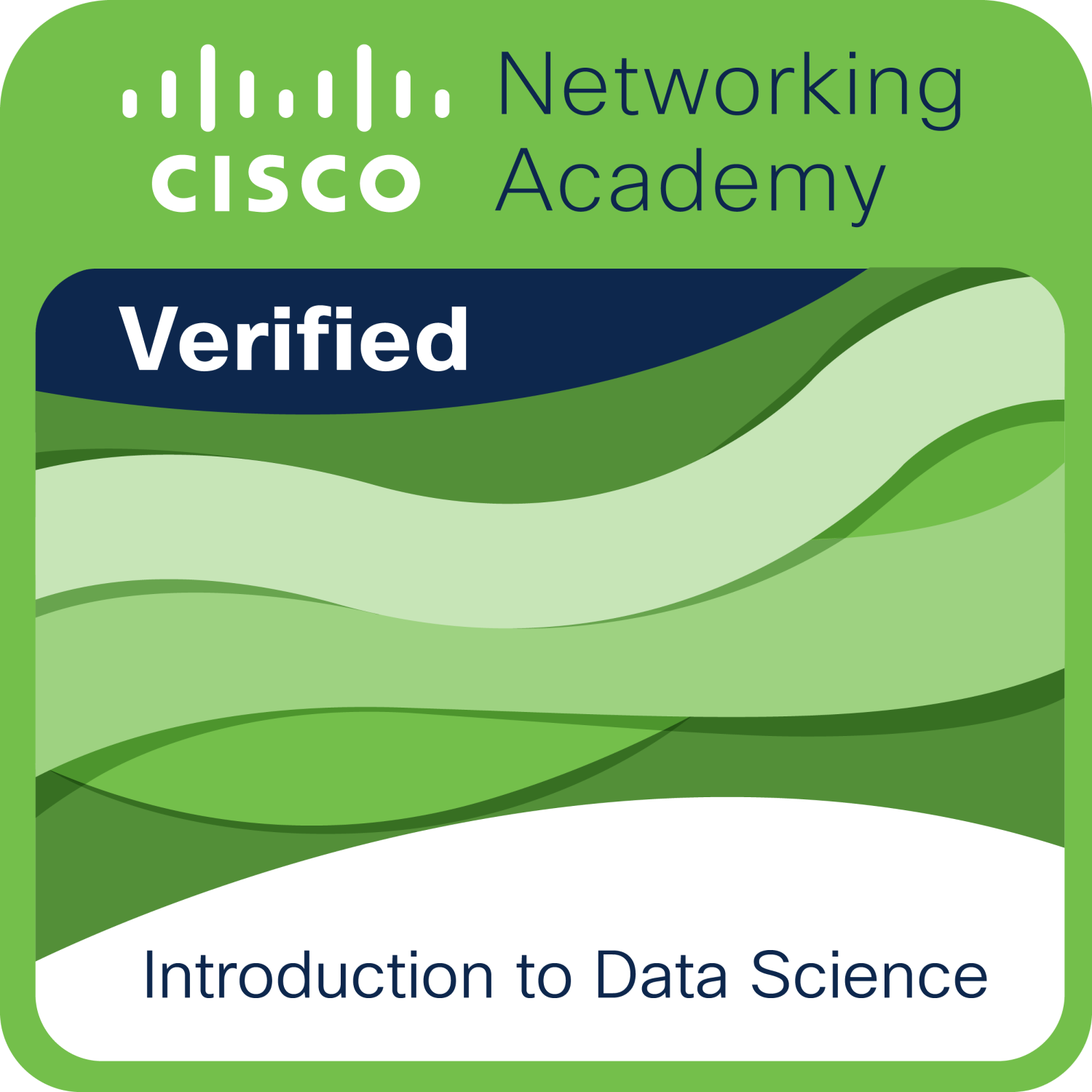 Cisco Badge 1